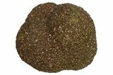 Polished Barite and Marcasite - Lubin Mine, Poland #335152-1